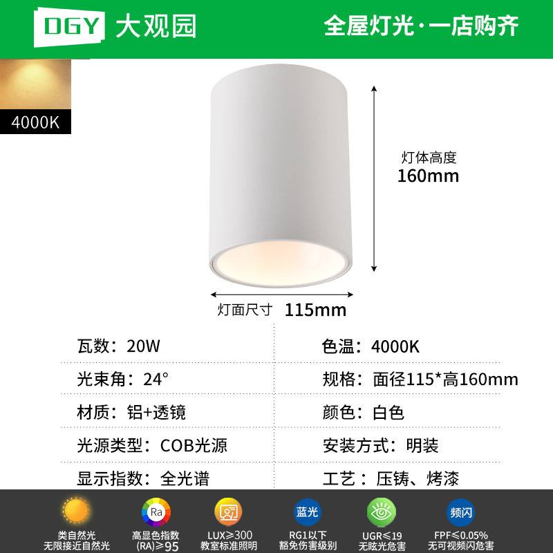 Da Guanyuan lámpara de techo Led Led Light Downlight House Pasillo de la sala de estar sin lámpara principal 495L image 33