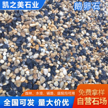 地暖回填豆石鱼缸造景滤料垫层米石碎石污水处理过滤鹅卵石豆石