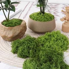 模擬苔芝生、バイオニック人工偽苔、マイクロ風景レイアウト、芝生盆栽、鉢植え舗装造園
