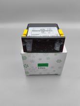 ED66 低温控制器 PT100数字超低温高温控制仪温控器 负199度
