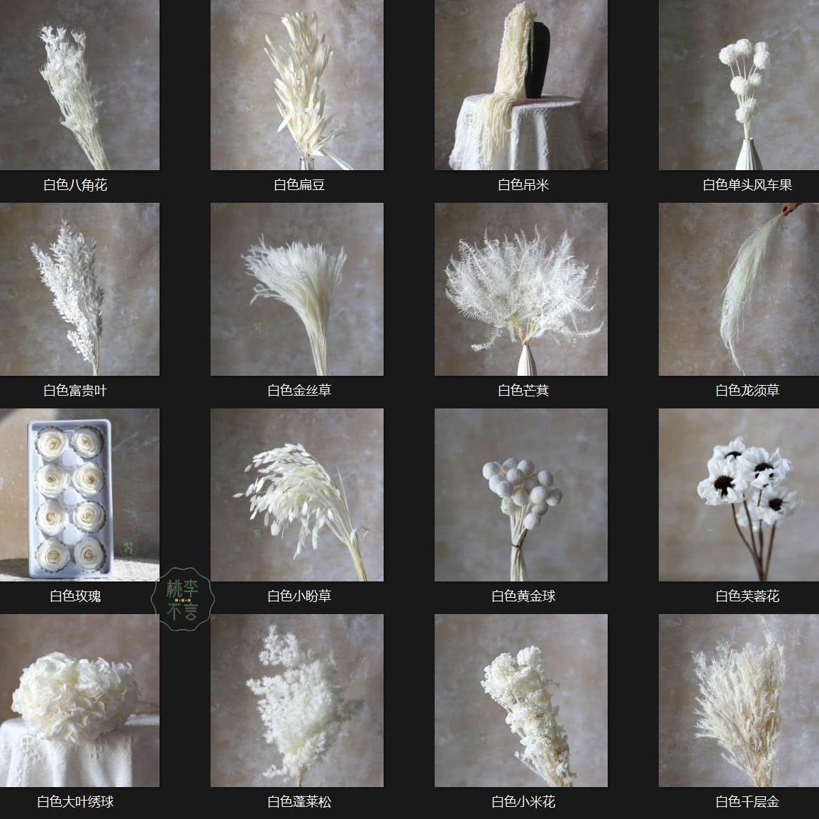 白色系永生花绣球蓬莱松龙须草吊米桔叶婚庆布置装饰手工diy花材