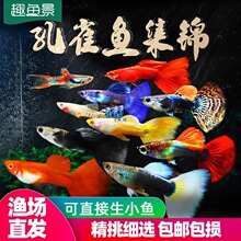 ��ȸ�Ꭷ�^�p�~�絭ˮ��ˮС��С�~���B�ͻ����B���~�Pβ���R���~