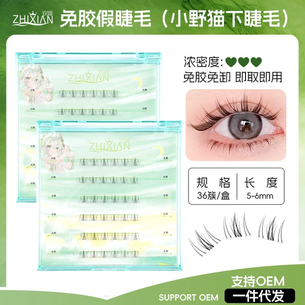 A box of gum -free small wild cats under eyelashes