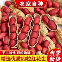 东北红皮衣生花生米新货生花生带壳新鲜晒干四粒红衣花生红花生