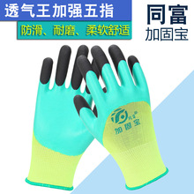 ͬ��͸�����ڱ�������ĥ�������z���o����͸�����ӏ�ָ�ɻ���\��