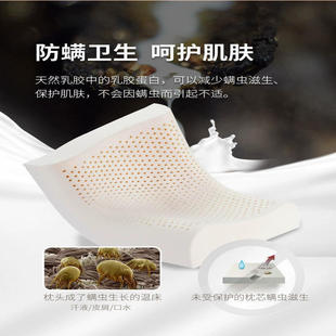 Source Manufacturer 93% Thai Natural Latex Pillow Pillow Core Cervical Spine Special Pillow Latex Pillow Genuine Class a