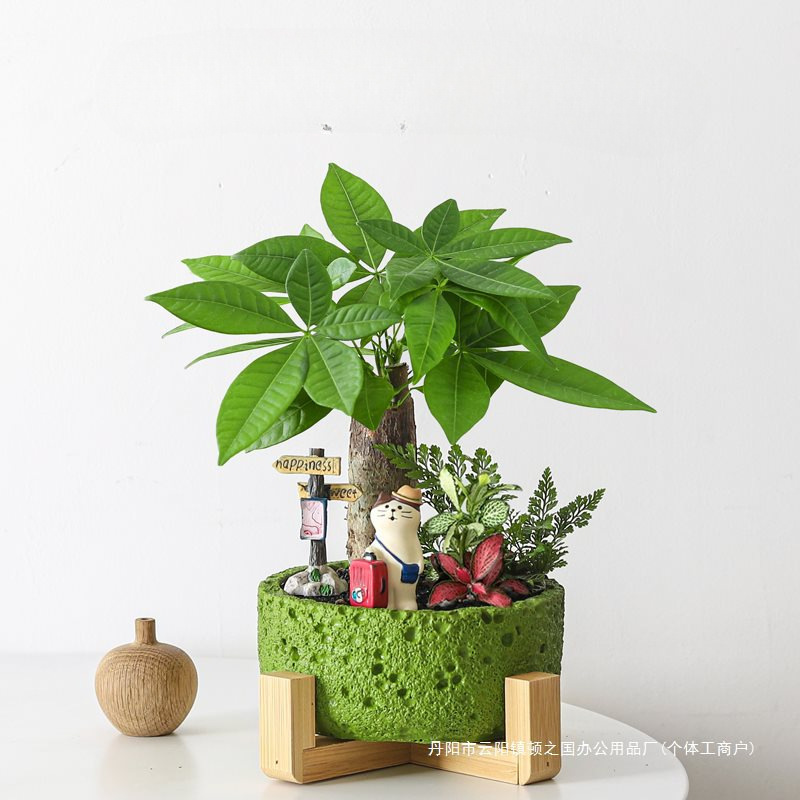 Money Tree Potted Florals Office Green Plants Indoor Desktop Easy to Grow Bonsai Prosperous Home Plants Gifts
