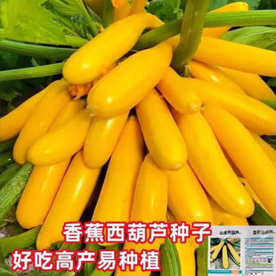 �㽶�����J�N���SƤˮ���ļ��Nֲԭ�b�ļ��߲˷N�Ӵ�ȫ�s���S����
