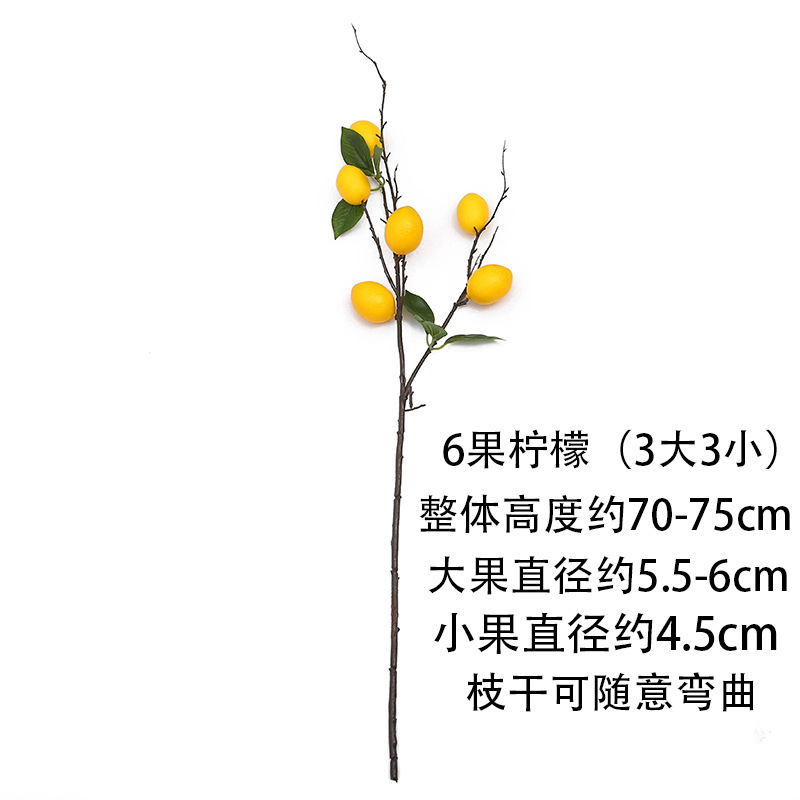 O1CN01fjNmtk1wLmp4FSfuq_!!2212