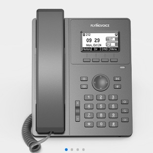 Flyingvoice Flying Voice Era P10/P10P/P10G/P10W/P10Lte Ip Phone Poewifi