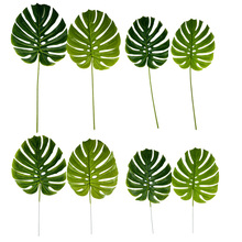 ���R�dins���������~�������Gɫ�~�ӻ�c��ˇ�b廨������~