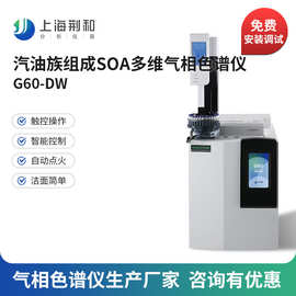 荆和 G60汽油族组成SOA多维气相色谱仪 国产气相色谱仪生产厂家