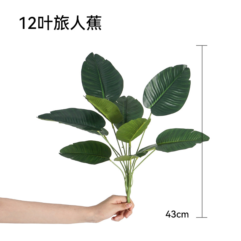 12잎 여행자 바나나