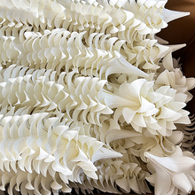 ?��c��EVA�ٺϻ��^��픰�ɫ�b�ˮ������W�t������