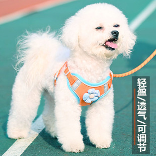 ���������K����ʽ�ر������������K̩�ϲ���С��Ȯ����Ȯ�޹��K