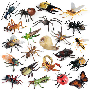 �羳���挍�Ą���ģ������x����֪����ρ�۷����������ͯ���