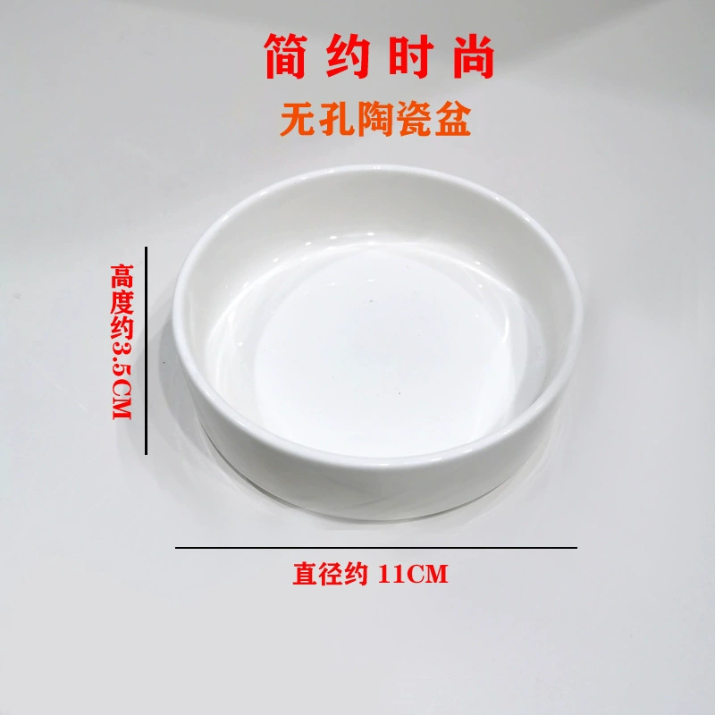 Специальный поднос для цветочного горшка из бразильского дерева, керамическое гидропонное сосуд, непористый поднос для цветочного горшка, нижний поднос, керамическая чаша для домашних животных в горшках