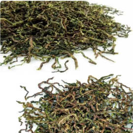 茶叶梗新房除味铁观音茶枝茶叶梗茶梗散装茶梗茶叶枝去味茶包邮批