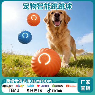 ���������򹷹������ҧ�� �ԄӶ����������˽␞����USB�������