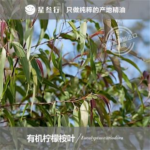 �������~�����ЙC�����ȼ��������x��޹��������ԭ�ϬF؛���l