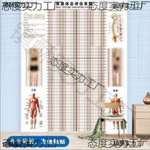 体脂图墙贴姿势体态评估表体测体位馆健身房图瑜伽纸网格体姿私教