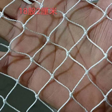 白色尼龙网网片渔网尼龙网箱抬网拉网围网拖网搬网隔断网渔网加厚