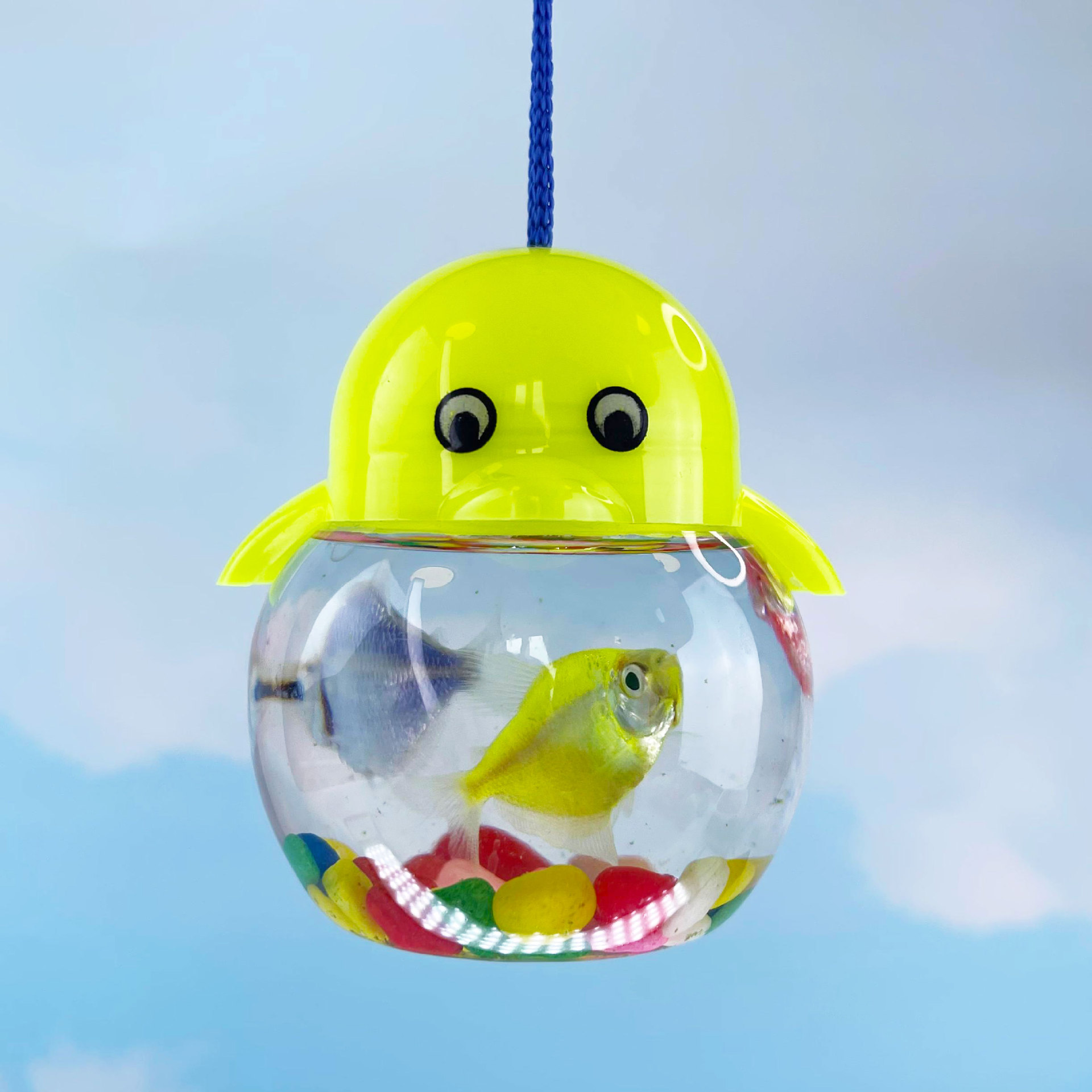 Botella QQ mini botella de pescado de dibujos animados caja de tortuga para niños caja de mascotas portátil con cuerda mercado nocturno parques puestos al por mayor