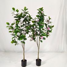 �¿������軨�� �Gɫ���Կ͏d�[���S�����a�������l