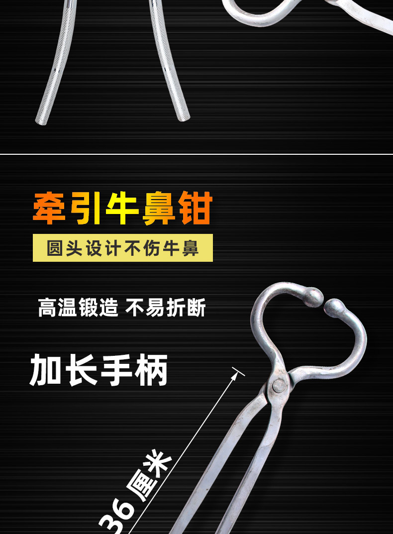 保定详情_02.jpg