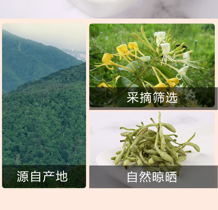 Jin Yin Hua Tea (Lonicera japonica) — Dried Honeysuckle Flower Tea, 30g Jar preparation