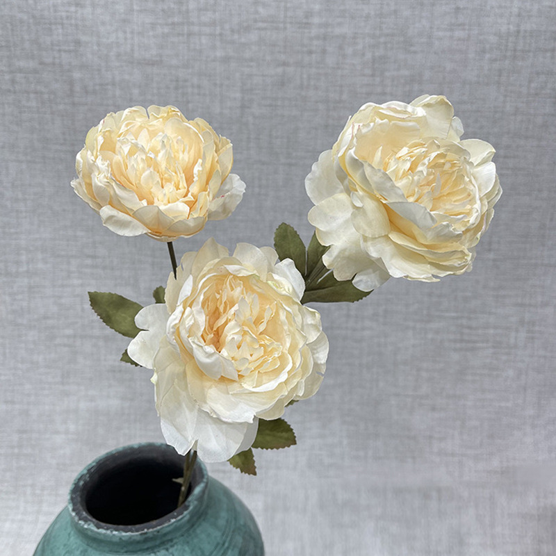 3개의 국차오 모란-샴페인