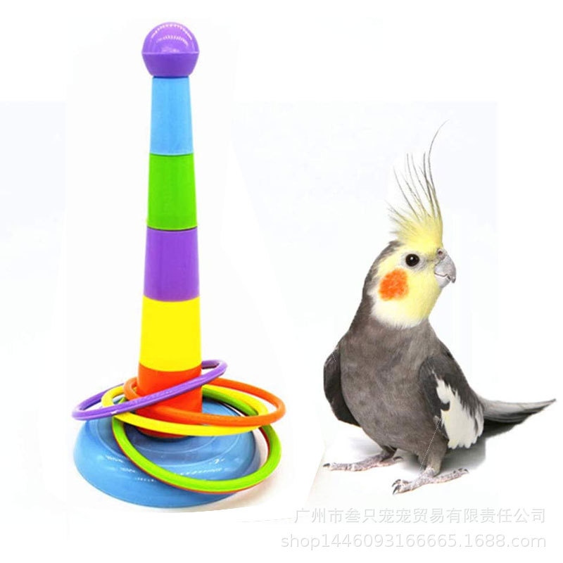 Parrot educational toys interactive intelligence starling little sun development toys hoop training pet bird toys