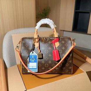 �羳 ԭ�� �߰汾 2026�¿��H L SPEEDY SOFT 30 ��Ƥ�μ�б���V