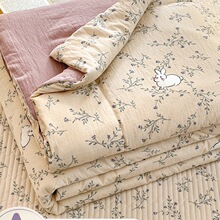 aěəCϴ{ͯļכļ2