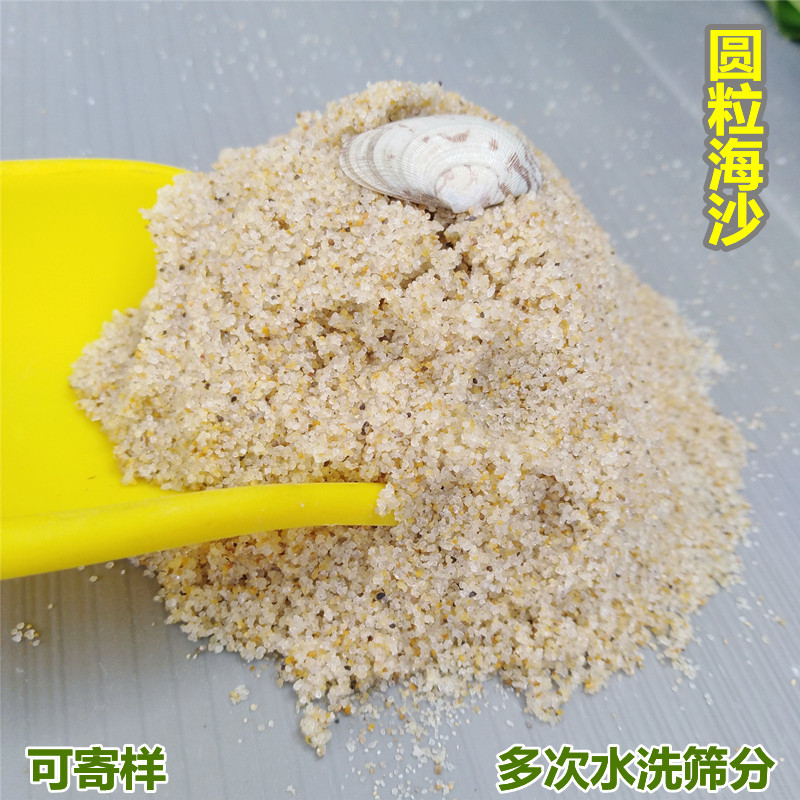 圆粒草坪沙厂家现货 0.5-1mm水洗海沙 儿童沙池公园沙坑用白沙