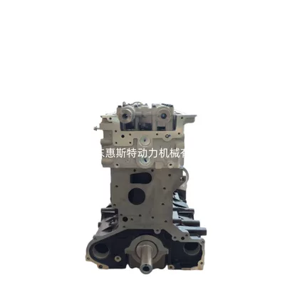 Hyundai Kia Solatto – Engine assembly