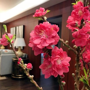 �����ذ��һ�����������Ϙ��҃����̨�辰�����^�p�һ��ͺ����B