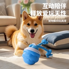 ホット販売電気犬のおもちゃボール内蔵犬の鳴き声犬ロープおもちゃ小型および中型犬教育用
