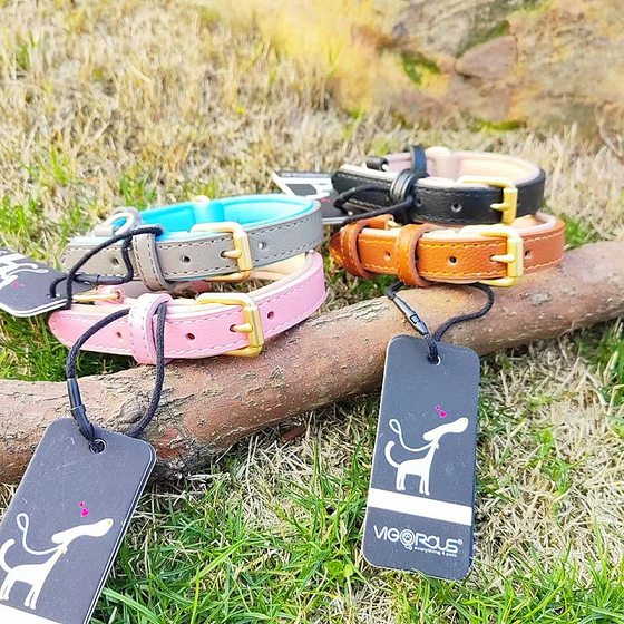 Cross-border Amazon pet supplies dog collar first layer cowhide dog collar waterproof double layer durable cat collar