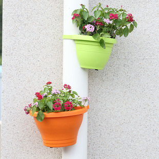 ���Sֱ�����@�����̖�A�������̨���m����ֲ��Nֲ�������l