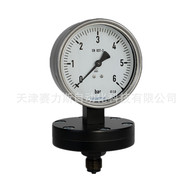 JUNEMANN隔膜压力表P10 压力传感器