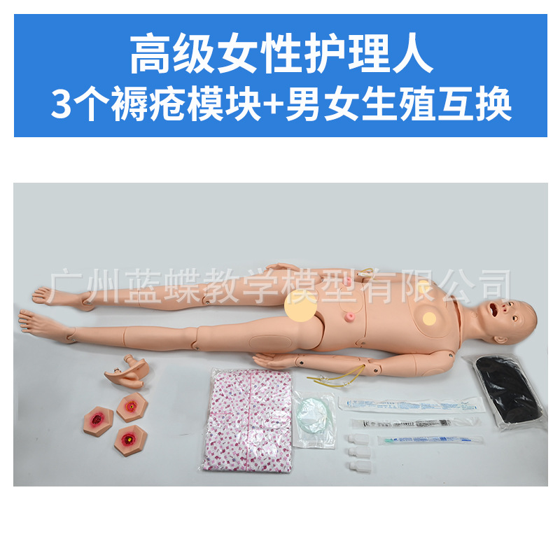 ���廤����ѵ ��Ů����ҽѧ ��ʿ������ѵ ��ɩ����֪ʶ����ģ��