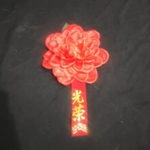 麦胸花退休太保退伍标光荣花模范颁奖大红花入伍胸前参军表彰新兵
