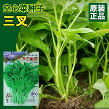 ���S������Ĳ˷N�Ӹ߮a����С����~�˷N��޳��ͨ�Ĳ˼��~���Ĳ�