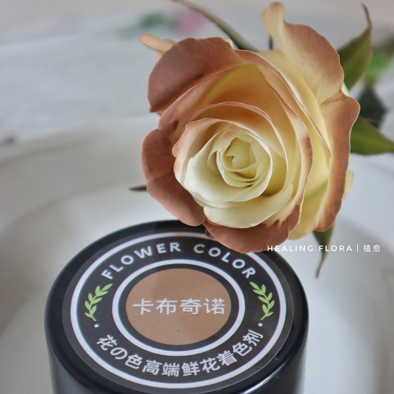 450ml agente de color de aerosol de flores al por mayor pintura en aerosol de secado rápido agente de teñido de rosas de color aerosol de color perlado floristería