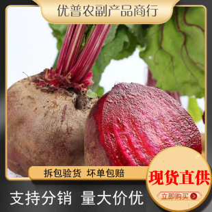 2026���r��˸�5����혿����r�F������ϲ��^�t���^����r���߲�