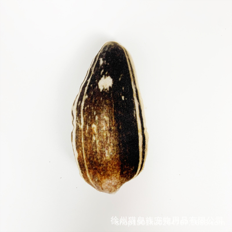 멜론 씨앗