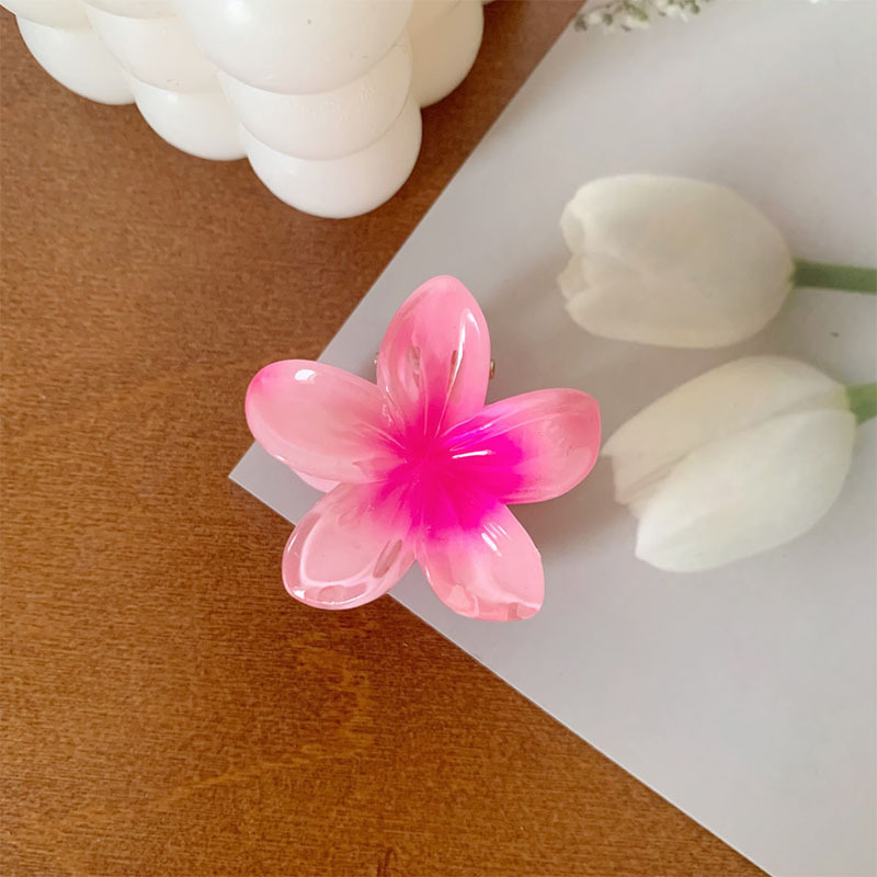 4CMの卵の花は国境を越えて熱売します。|undefined