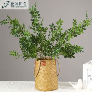 ����ֲ�ﻱ���~ ��c���滨 ��Y�Ƶ��b��廨�[�����l