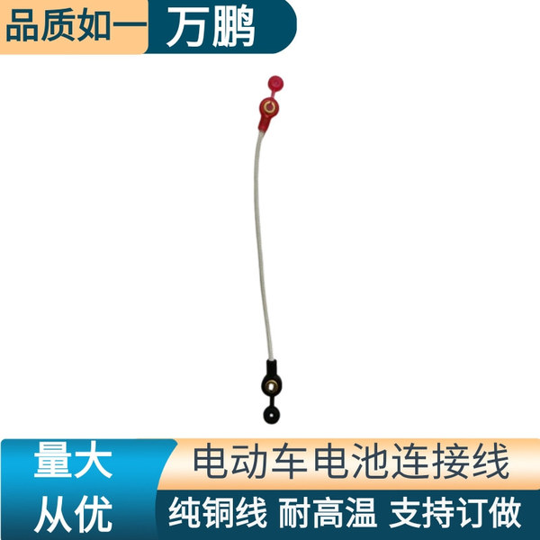 Electric Vehicle Battery Cable Pure Copper 48-84V Battery Car 2 Square Meters Tricycle High Conductivity Pure Copper Core